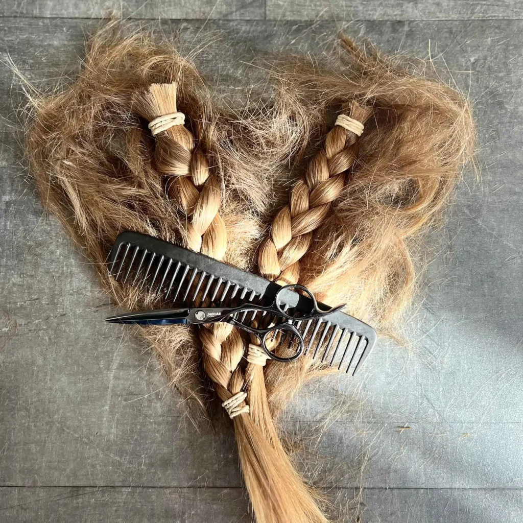 Friseur Atelier by Jessica Stöhr - Wo Haare Herzenssache sind. Für jeden einzigartig, für alle perfekt – Stil und Spaß für die ganze Familie. - Spende deine Haare- Zöpfe, die Mut machen. Ich lasse dem Verein für krebskranke Kinder Harz e. V. öfter abgeschnittene Zöpfe zukommen. Daraus werden Perücken für Kinder hergestellt. - Haarspende abgeschnittene Haare und Zöpfe in Herzform